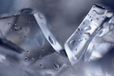 Close-up of water drops on glass