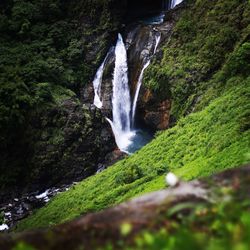 Scenic view of waterfall in forest