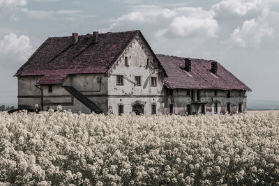 House on field against sky