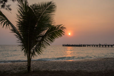 Scenic view of sea during sunset