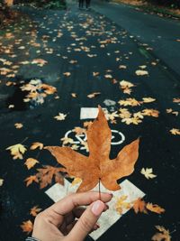 Cropped hand holding maple leaf against road