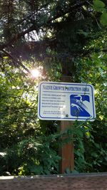 Information sign on tree trunk