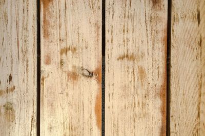 Full frame shot of wooden planks