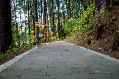 Empty road amidst trees in forest