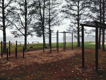 Trees growing on field