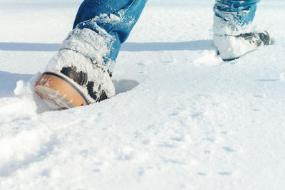 Low section of person on snow covered land