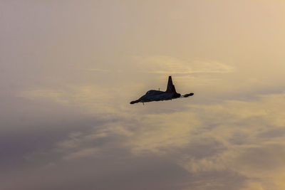 Low angle view of silhouette bird flying against sky