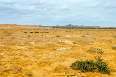 Scenic view of landscape against cloudy sky