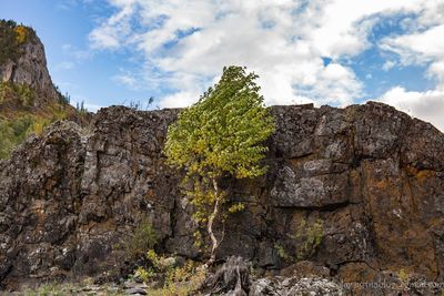 Low angle view of rock formation against sky