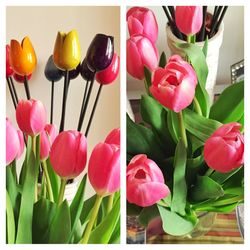 Close-up of red tulips