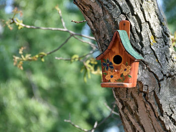 Low angle view of birdhouse on tree trunk