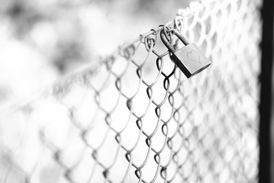 Close-up of padlock on chainlink fence