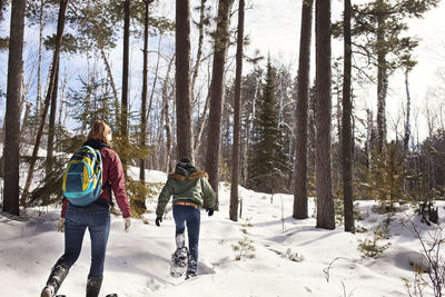 Rear view of male and female hikers walking in forest during winter