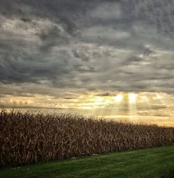 View of fields against cloudy sky during sunset