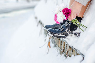 Close-up of potted plant on snow covered field