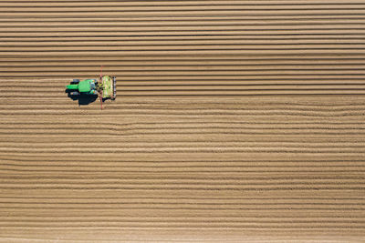 Rear view of man working on farm