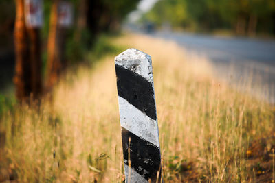 Close-up of stone on field