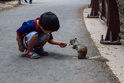 Rear view of boy on cat