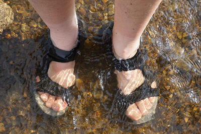 Low section of person standing in water