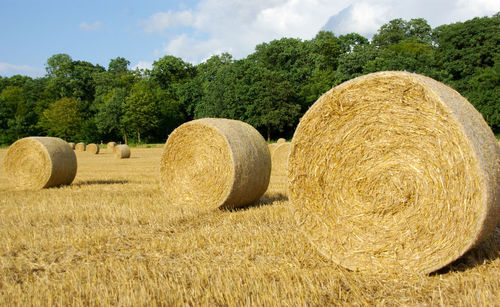 Hay bales on field against sky