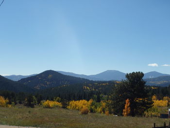 Scenic view of field against clear sky