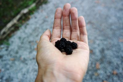 Blackberries