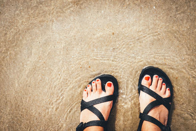 Low section of woman standing at beach