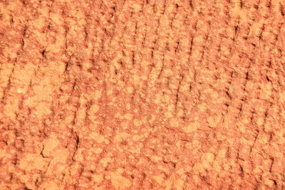 Full frame shot of rug