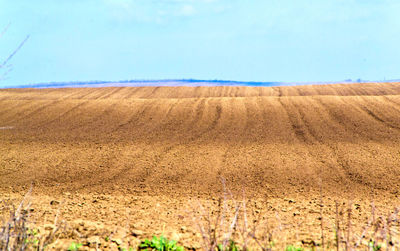 Scenic view of agricultural field against sky