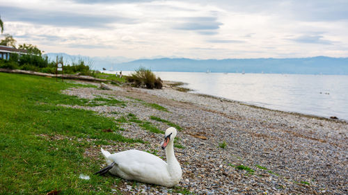 Scenic view of lake against cloudy sky