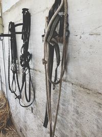 High angle view of bicycle on wall