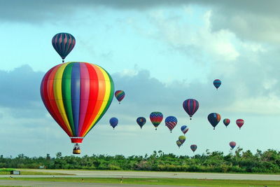 Hot air balloons flying in sky