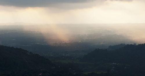 Scenic view of forest against sky