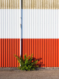 Full frame shot of wooden wall