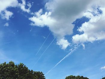 Low angle view of trees against blue sky