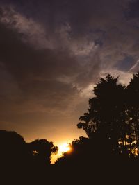 Low angle view of silhouette trees against sky during sunset