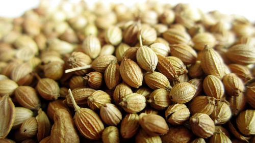 Full frame shot of nuts