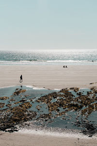 Scenic view of beach against clear sky