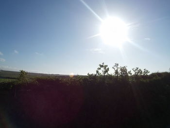 Scenic view of field against bright sun