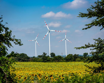 Wind turbines and sunflower field in front, renewable energy and agricultural field