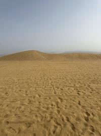 land