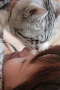 Close-up of girl with domestic cat