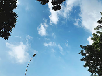 Low angle view of street light against sky