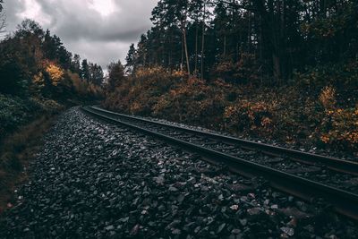 Railroad tracks amidst trees against sky