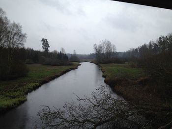 Scenic view of river in forest against sky