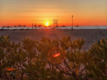 Scenic view of sea against orange sky