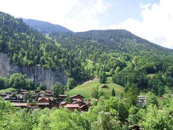 Scenic view of trees and mountains against sky