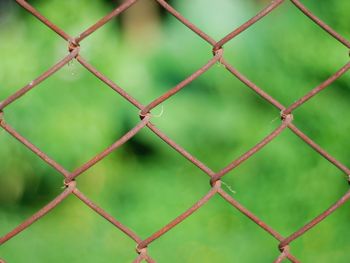 Close-up of chainlink fence