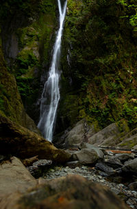 Scenic view of waterfall in forest