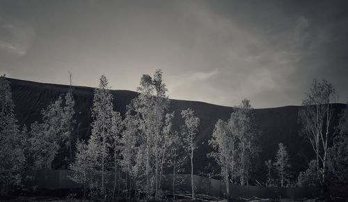 Panoramic view of land and trees against sky